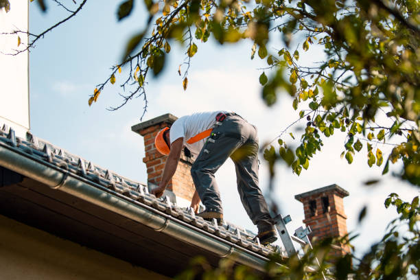 Best Roof Insulation Installation  in Silsbee, TX